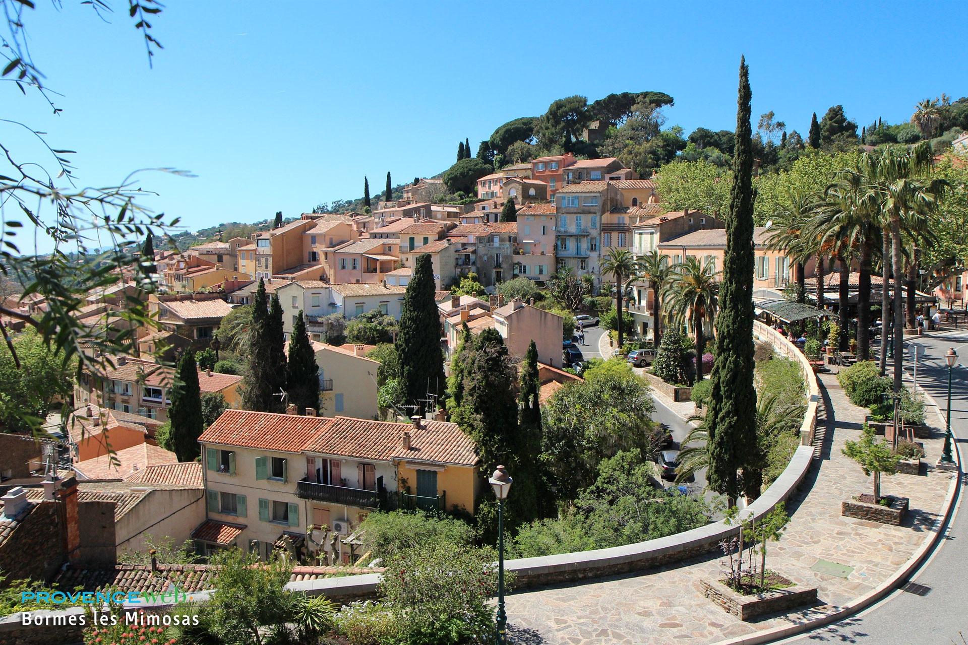 Bormes les Mimosas