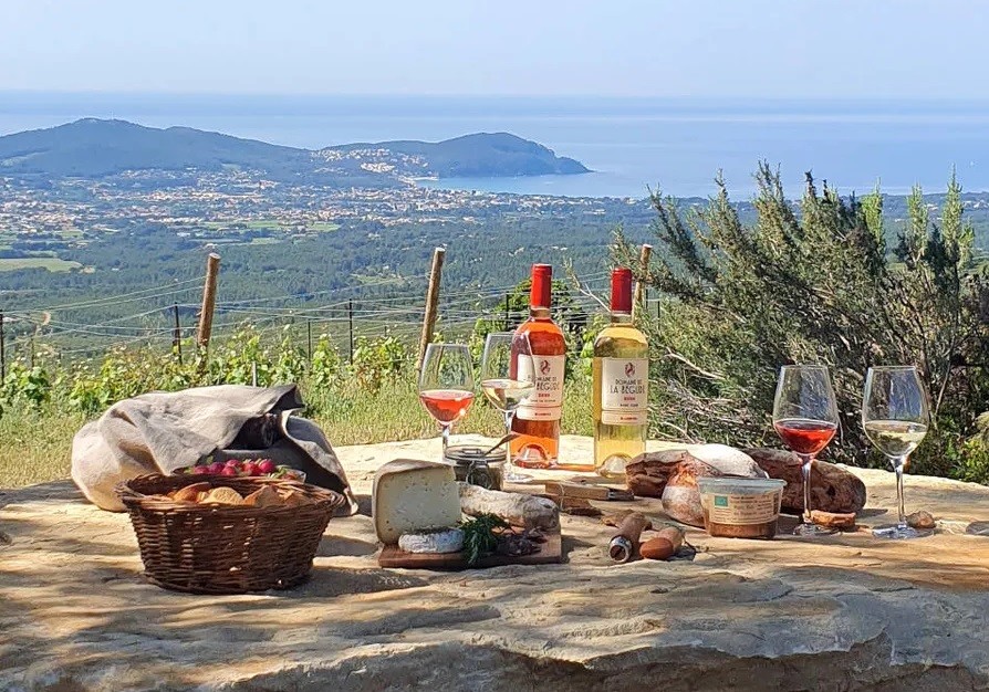 Visite du Domaine viticole de la Bégude