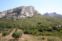 Paysage des Alpilles