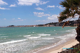 Palmiers à Bandol devant une plage