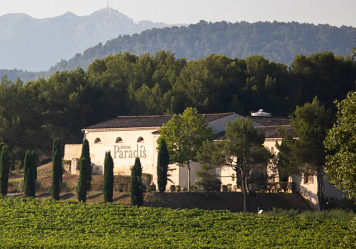 Vignoble à Aix