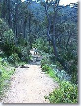 Chemin de Port Cros