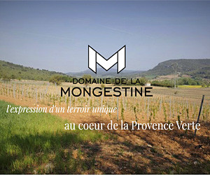 Domaine de Mongestine