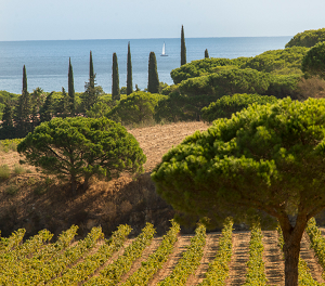 Domaine des Tournels