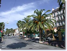 Hyères les Palmiers