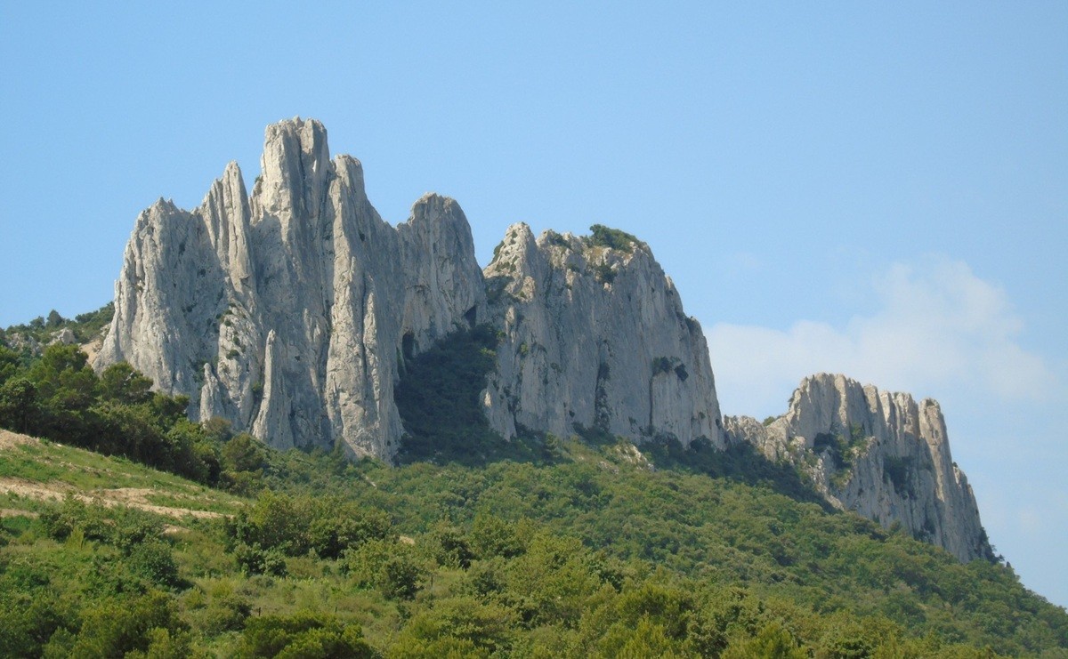 Visit the Dentelles de Montmirail