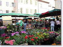 Marché de Montélimar