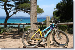 Vélo à Porquerolles