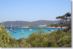 Voiliers sur l'île de Porquerolles