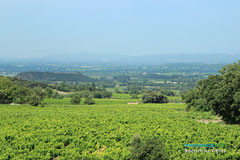 Vue du village de Rousset les Vignes