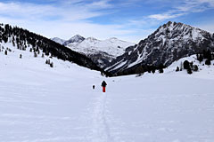 Ski de fond dans l'Embrunais