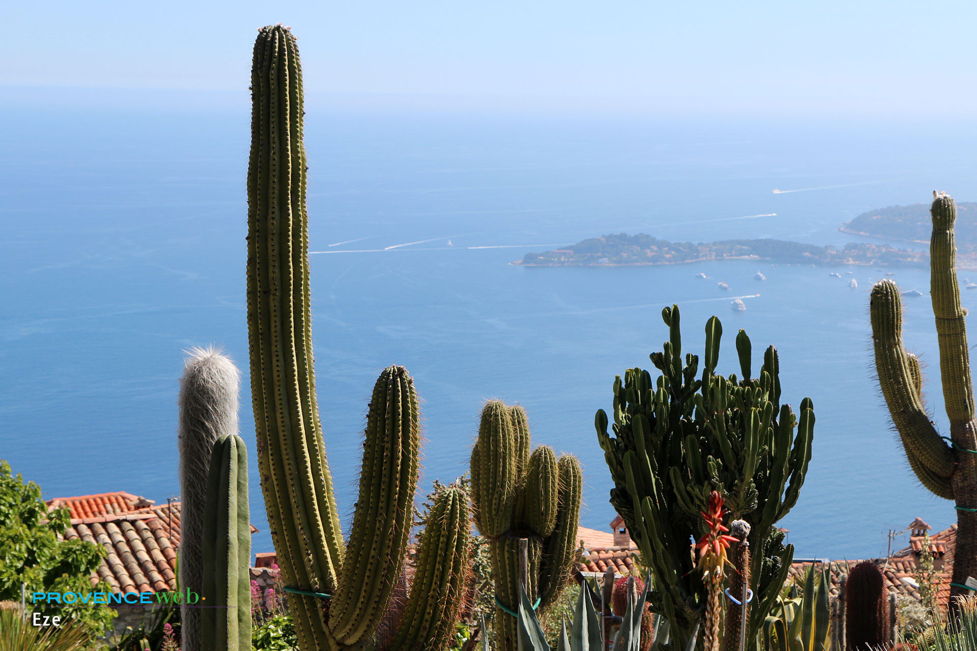 Le jardin exotique d'Èze, une vue splendide sur la Côte d'Azur