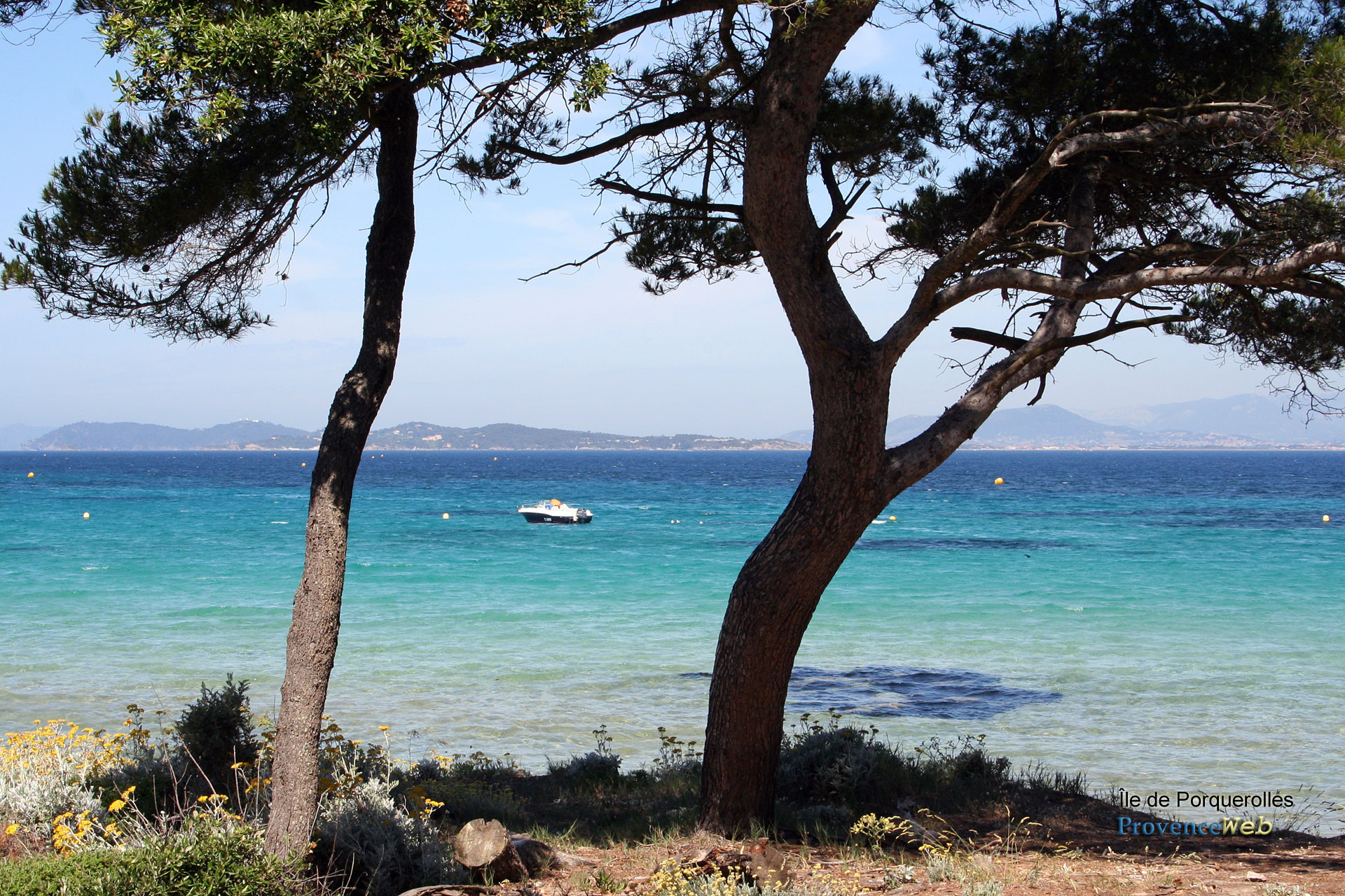 Ile de Porquerolles
