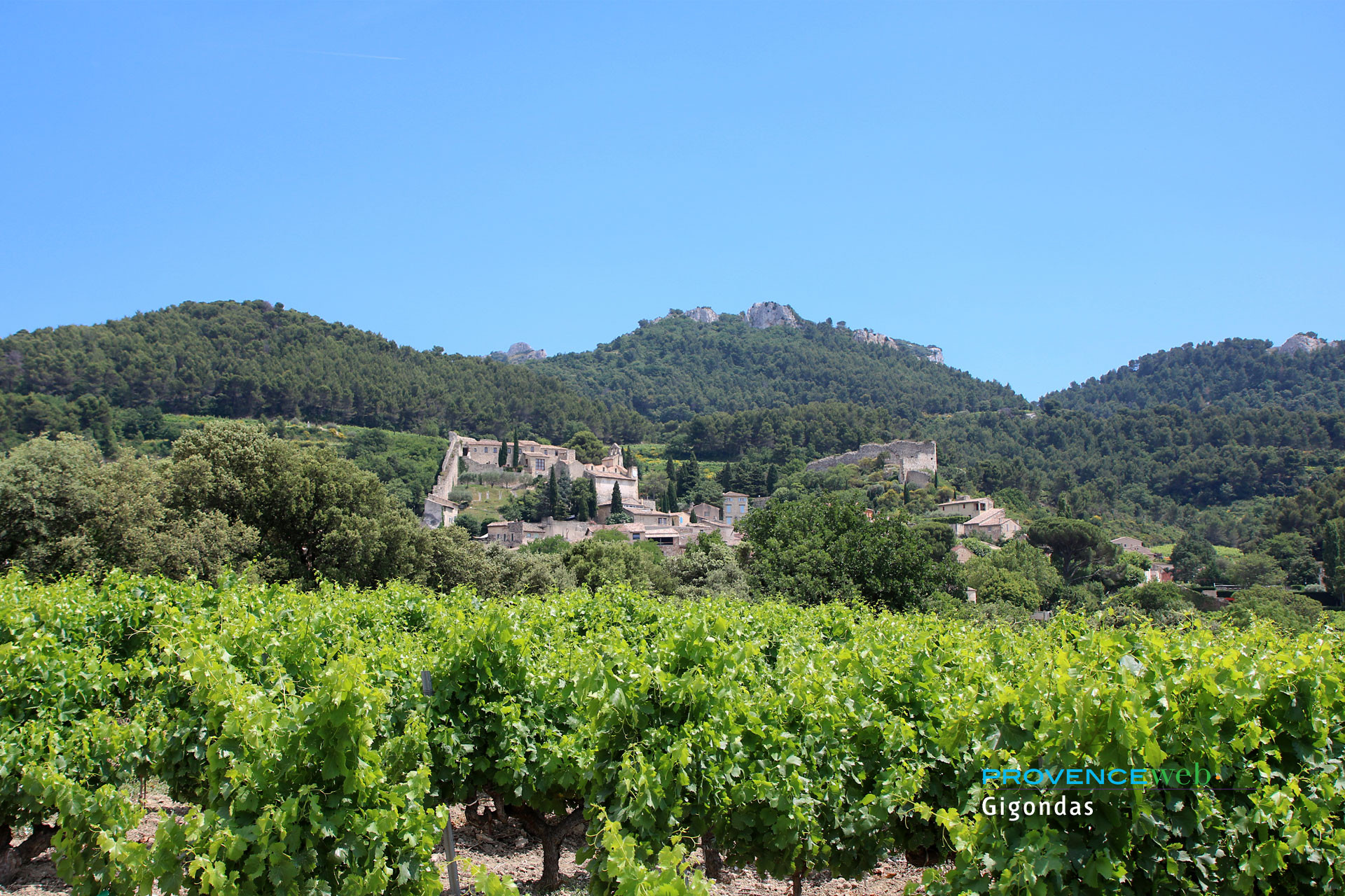 Gigondas