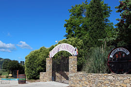 Vignoble à visiter à Bandol