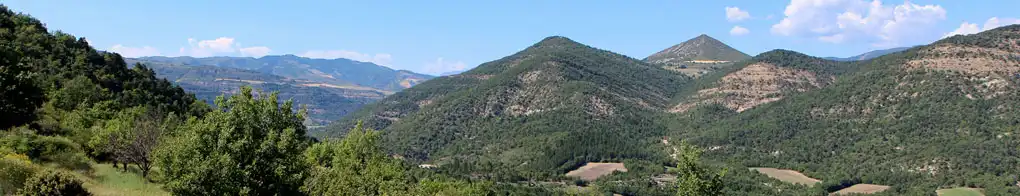 Paysage provencal de collines boisées