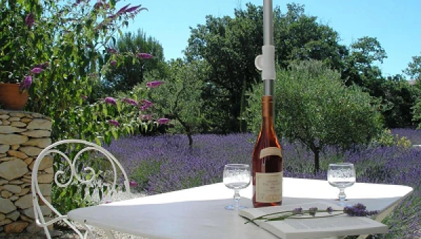 Le Clos des Lavandes