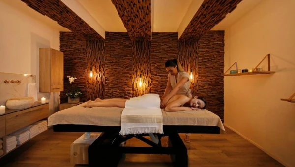 Negrecoste Hôtel & Spa