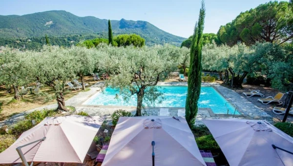Hôtel la Picholine en Provence