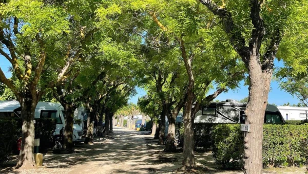 Camping Beau Séjour au Lavandou