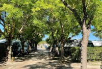 Camping Beau Séjour au Lavandou