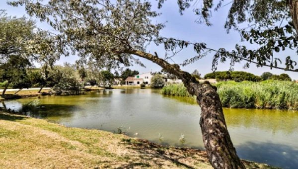 Hôtel Les Rizières