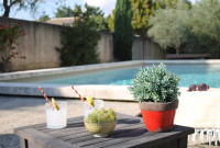 Les Mazets de Pascale, location de vacances