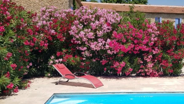 La Pastorale à Lagnes