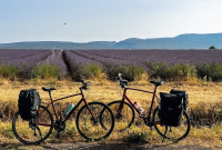 Location de vélo à Avignon