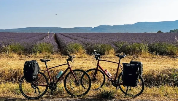 Location de vélo à Avignon