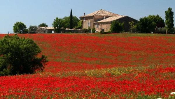 Yoga à Valensole