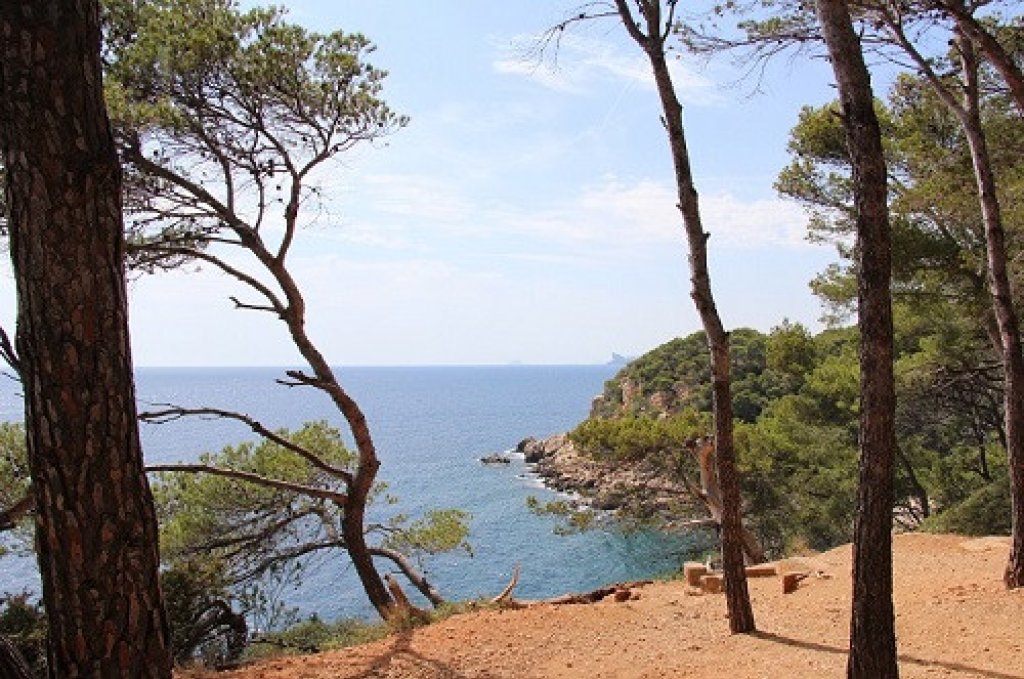 Rando traces des douaniers.