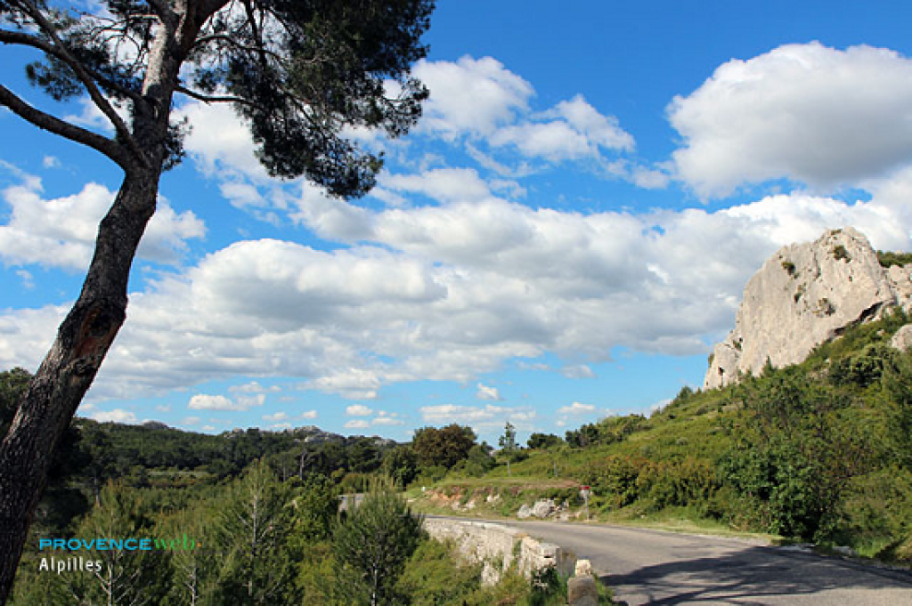 Circuit pédestre en Provence.