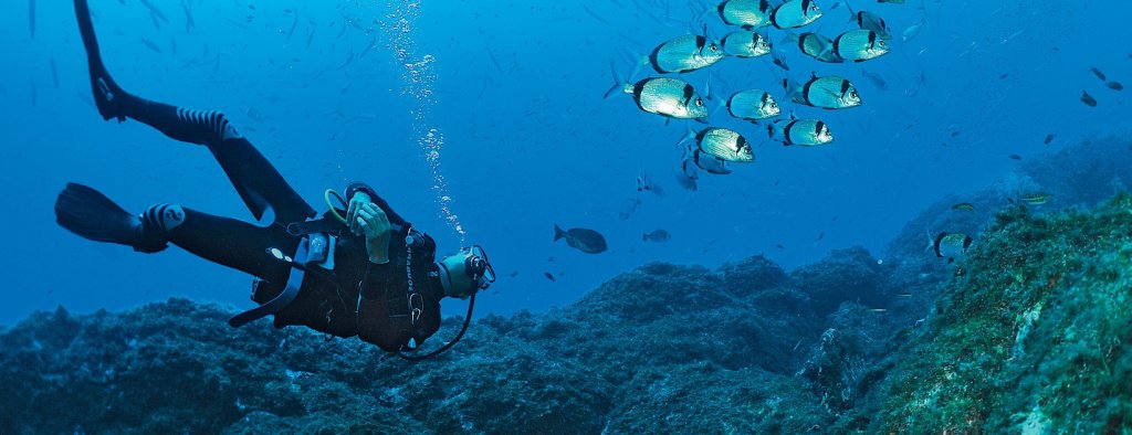 Plong&eacute;e &agrave; la Baume Rousse.