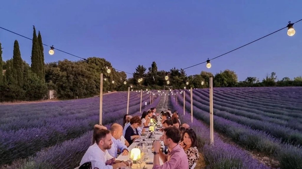 Lavender Nights.