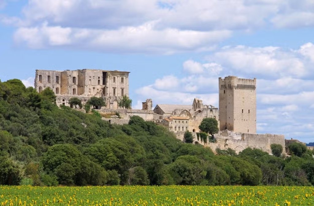 L'abbaye de Montmajour &agrave; Arles.