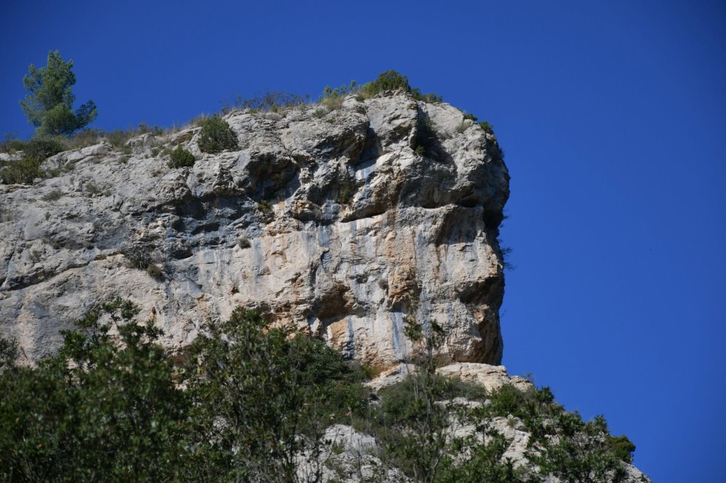 Le G&eacute;ant du R&eacute;galon.