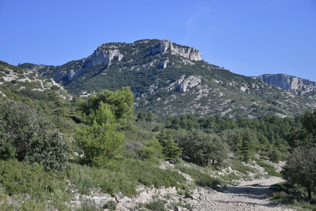 Le vallon des gorges de R&eacute;galon.