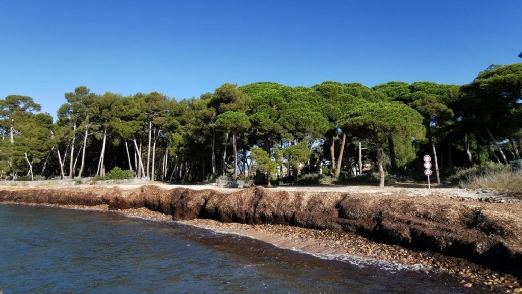 La plage de Sainte-Asile.