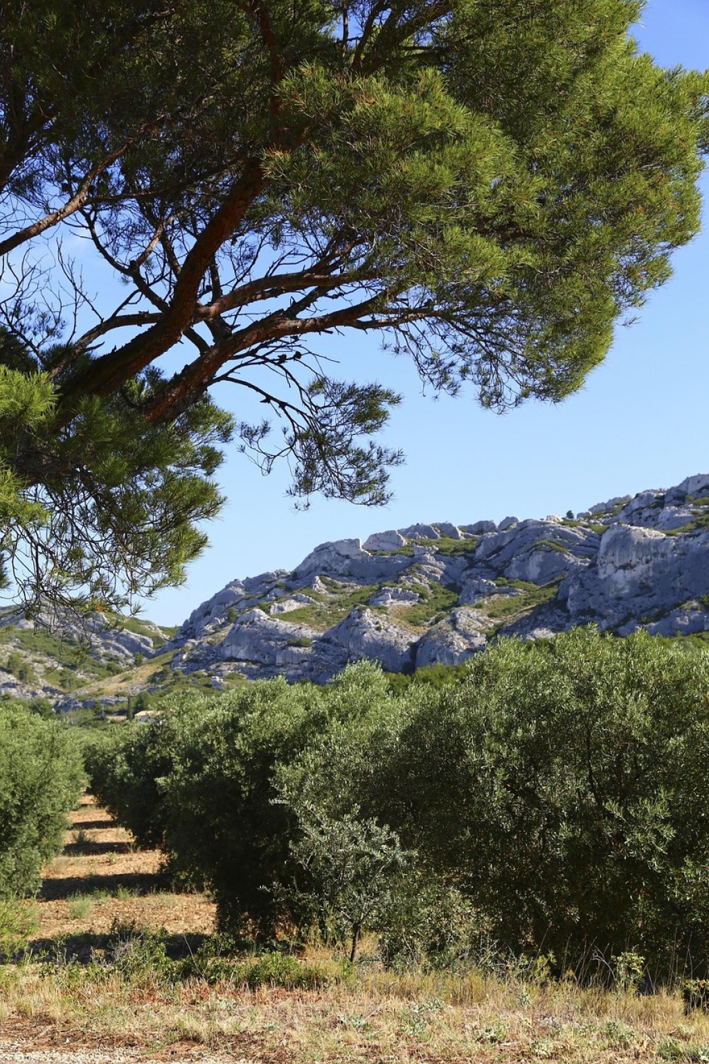 Jolie vue en Provence.