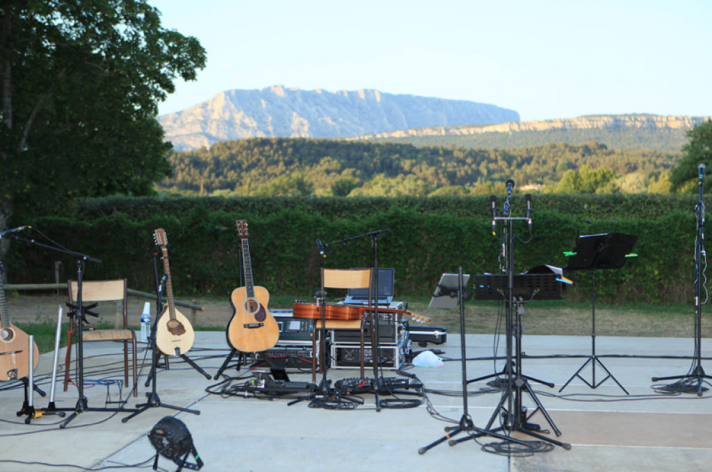 Blues Roots Festival.