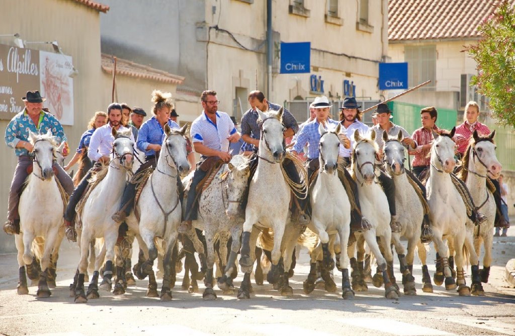 La f&eacute;ria de Saint-R&eacute;my de Provence.