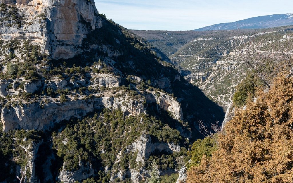 Vue des gorges de la Nesque.