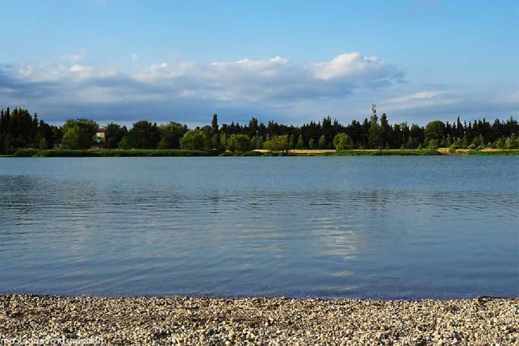 Plage du Lac de Monteux.