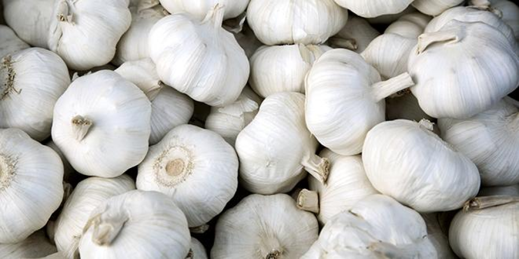 March&eacute; dans le Vaucluse.