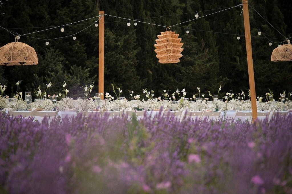 Banquet d'&eacute;t&eacute; lavande.