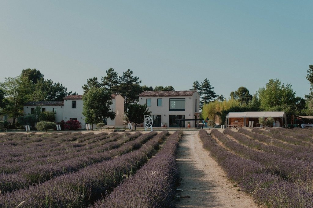 Domaine de lavande pr&egrave;s d'Aix.