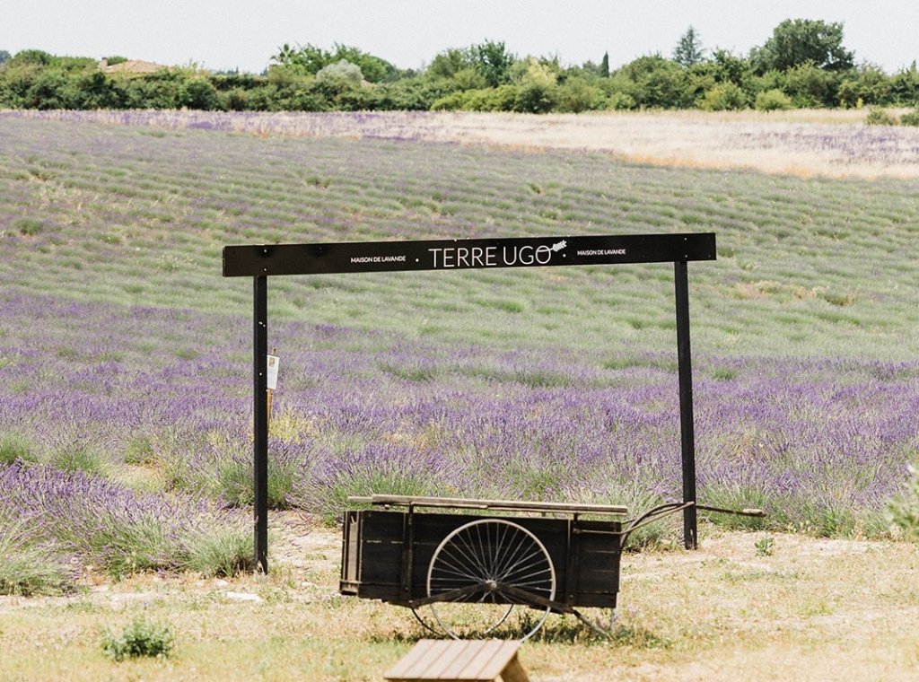 Terre Ugo &agrave; Aix.