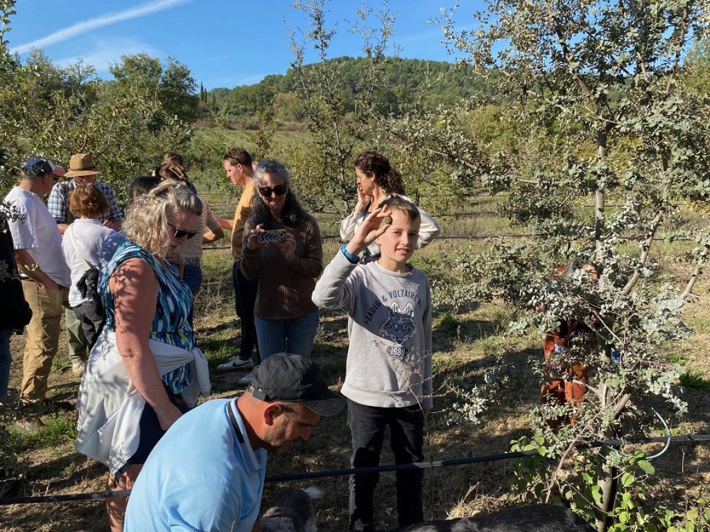 Truffle hunting group.