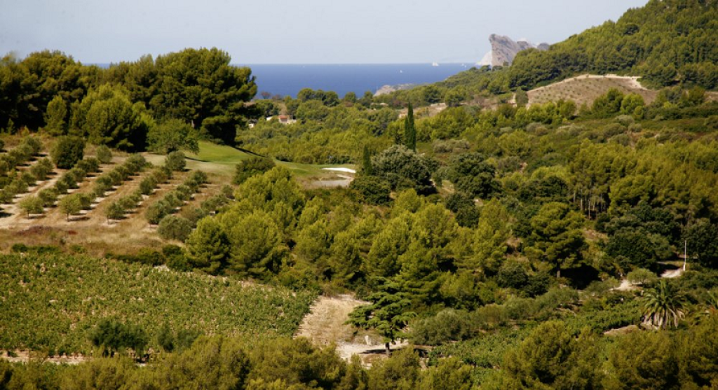Le vignoble de Bandol.